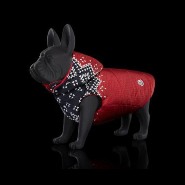 MONCLER(モンクレール)の新品未使用　ドッグウェア　モンクレール その他のペット用品(犬)の商品写真