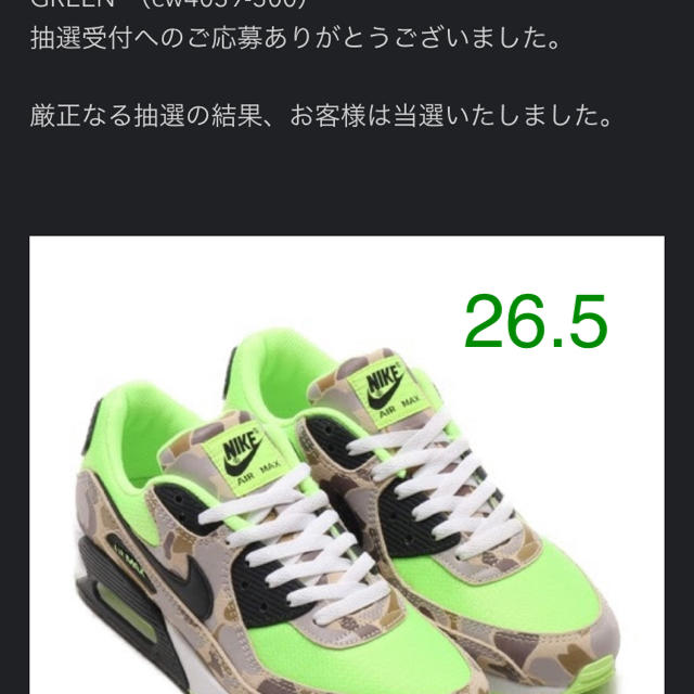 ナイキ　エアマックス90 グリーン カモ靴/シューズ