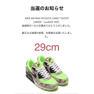 ナイキ(NIKE)のNIKE AIR MAX 90 GREEN CAMO 29cm(スニーカー)