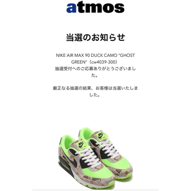 NIKE(ナイキ)のNIKE AIR MAX 90 GREEN CAMO 28.5 メンズの靴/シューズ(スニーカー)の商品写真