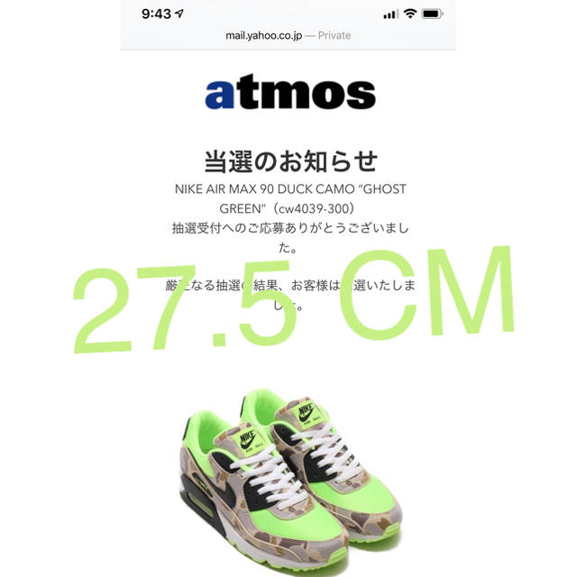 NIKE AIR MAX 90 DUCK CAMO “GHOST GREEN”エアマックス