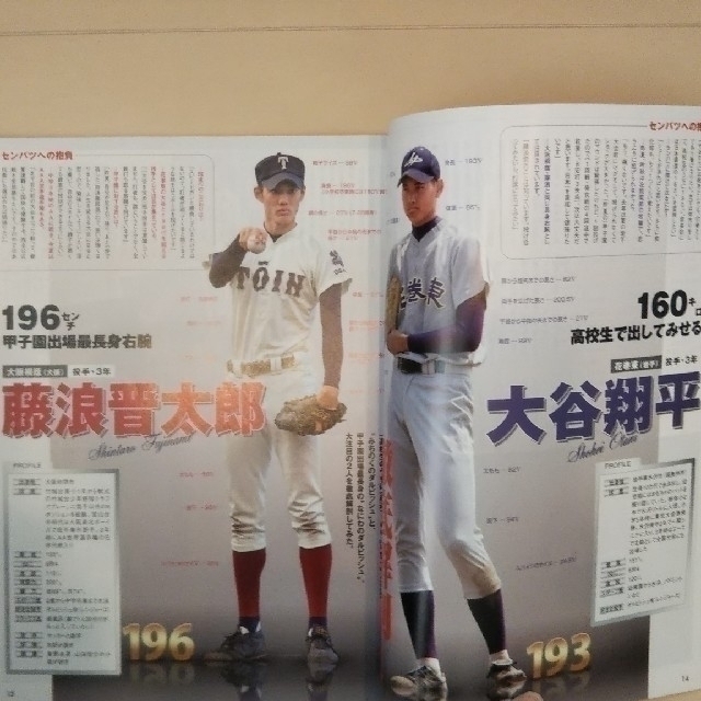 報知 高校野球 2012 - 趣味