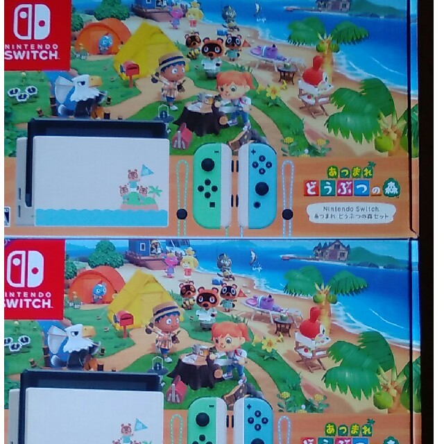 Nintendo Switch あつまれ どうぶつの森セット　２個セット
