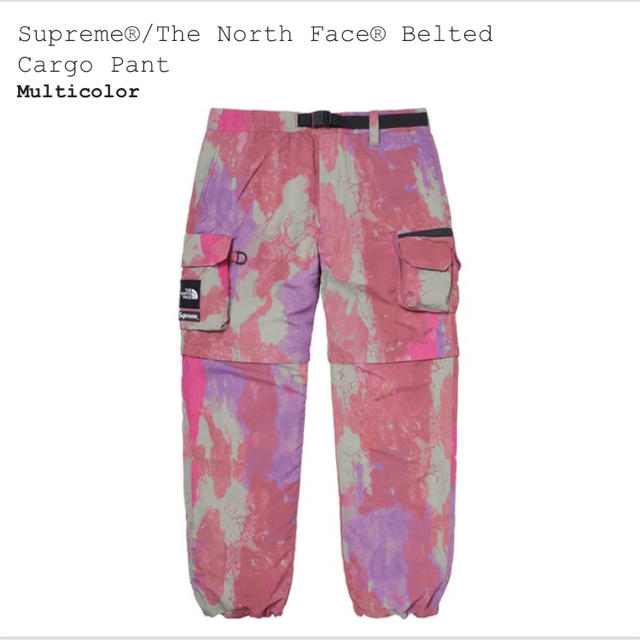 supreme the northface belted cargo pant