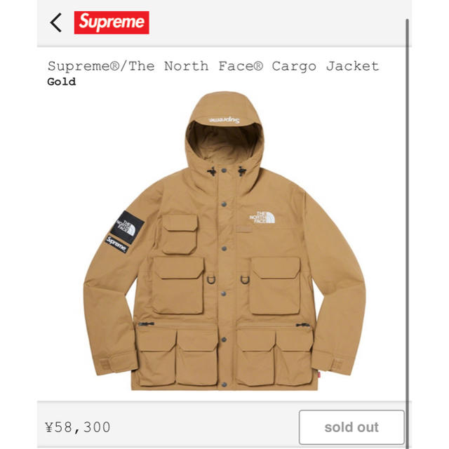 Supreme(シュプリーム)のsupreme the northface cargo jacket サイズM メンズのジャケット/アウター(マウンテンパーカー)の商品写真