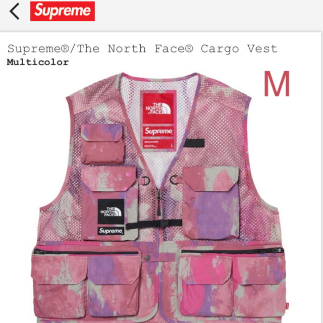 Supreme®/The North Face® Cargo Vest  Mトップス