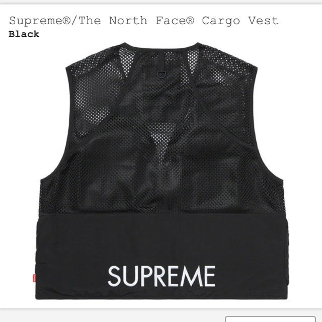 Supreme The North Face Cargo Vest 1