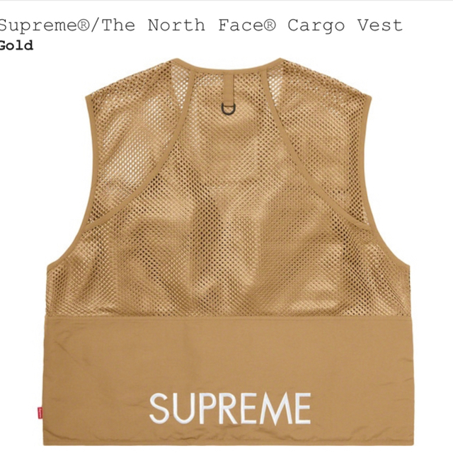 supreme the north face cargo vest