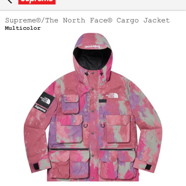 Supreme The North Face Cargo Jacket