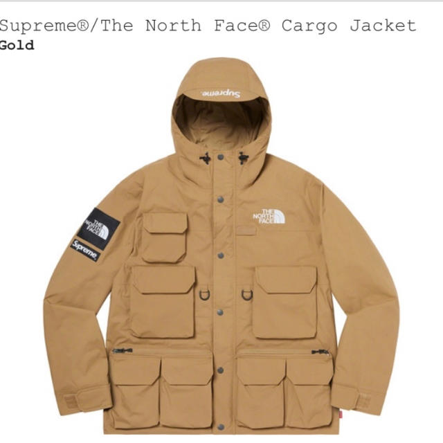 Supreme The North Face Cargo Jacket