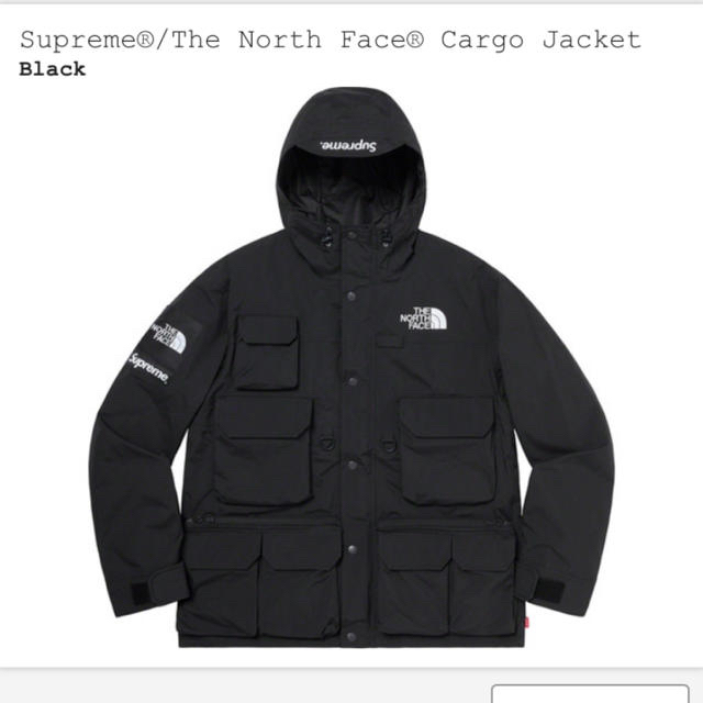 Supreme®/The North Face® Cargo Jacket