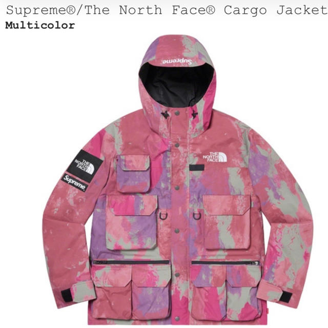 メンズsupreme the north face