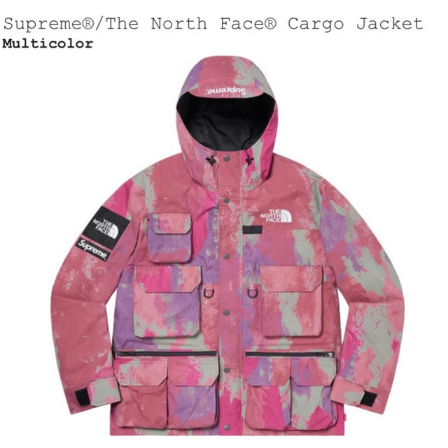 Supreme The  North Face Cargo Jacket