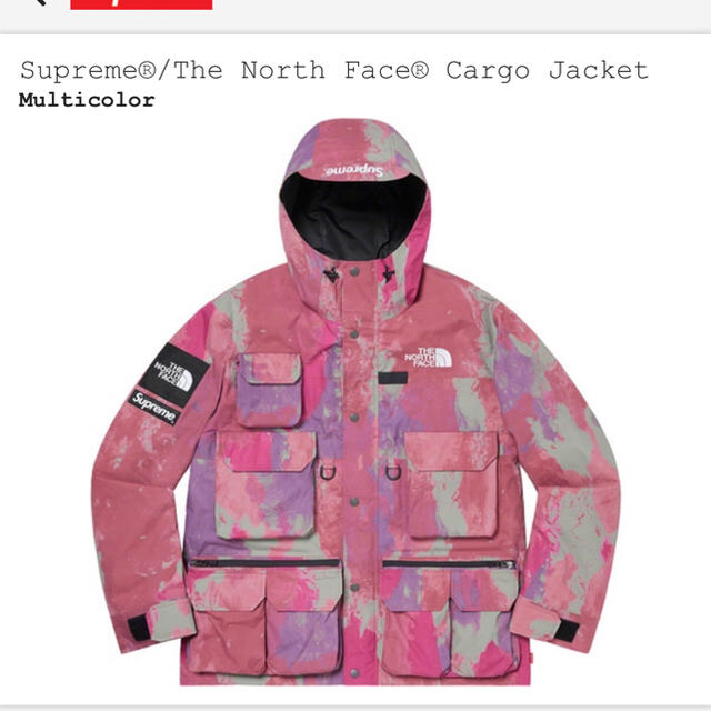 【新品】 Supreme - M jacket face north the supreme マウンテンパーカー