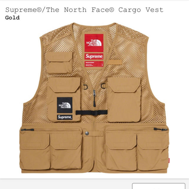 supreme the north face