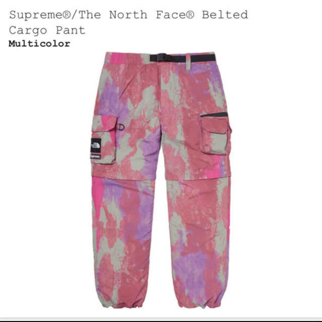 Supreme TNF Cargo Pant