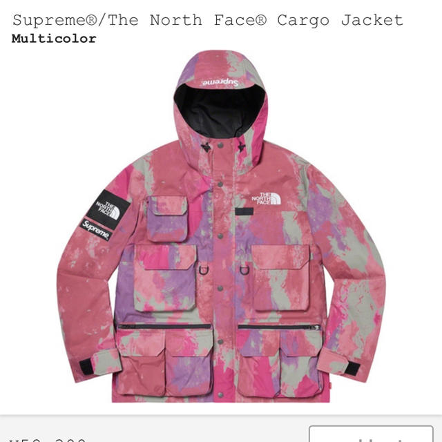 高品質】 supreme - Supreme L Jacket Cargo TNF face north ダウン