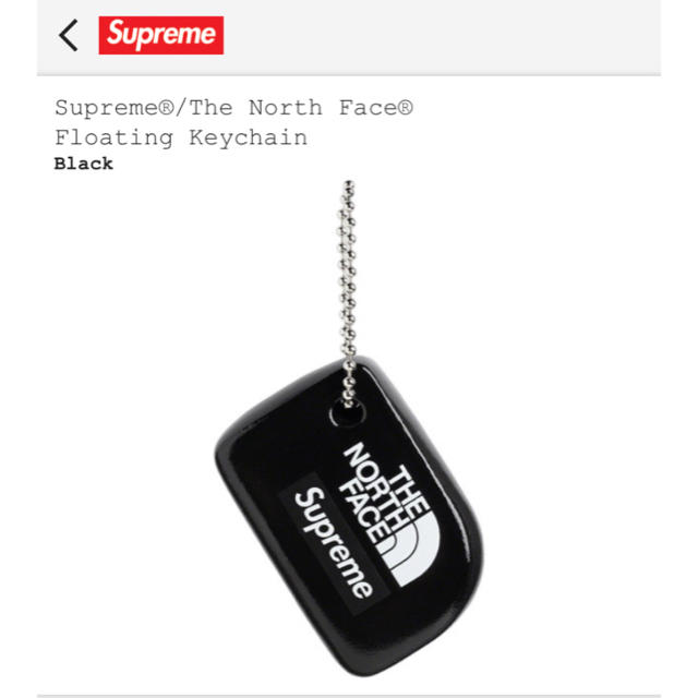 Supreme(シュプリーム)のSupreme/The North Face®Floating Keychain メンズのファッション小物(キーホルダー)の商品写真