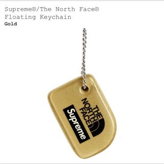 シュプリーム(Supreme)のsupreme the north face(マウンテンパーカー)