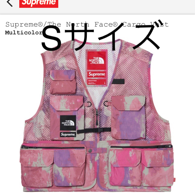 Supreme The  North Face Cargo Vest