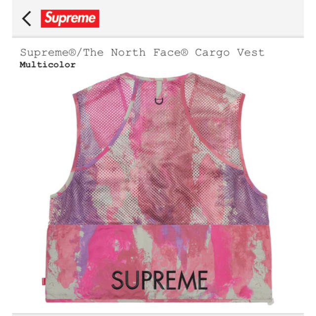 Supreme(シュプリーム)のsupreme the north face cargo vest Mサイズ メンズのトップス(ベスト)の商品写真