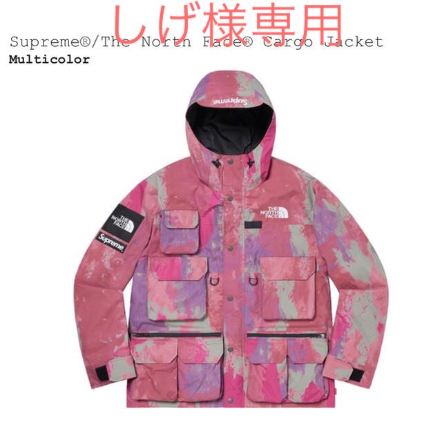 Supreme®/The North Face® Cargo Jacket