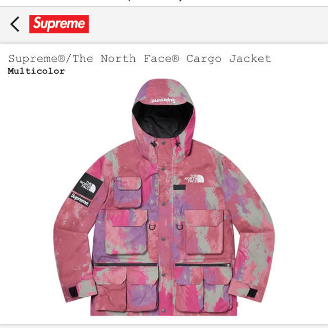 Supreme(シュプリーム)のSupreme The north face cargo jacket メンズのジャケット/アウター(マウンテンパーカー)の商品写真