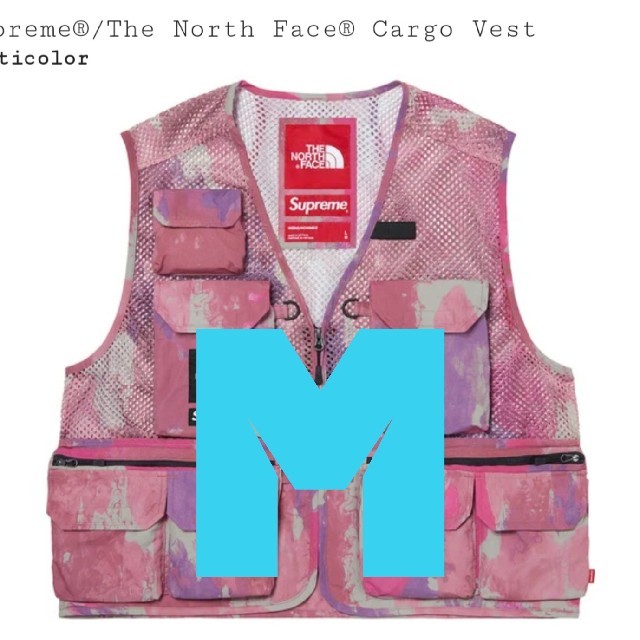 Supreme  The  North Face Cargo Vest