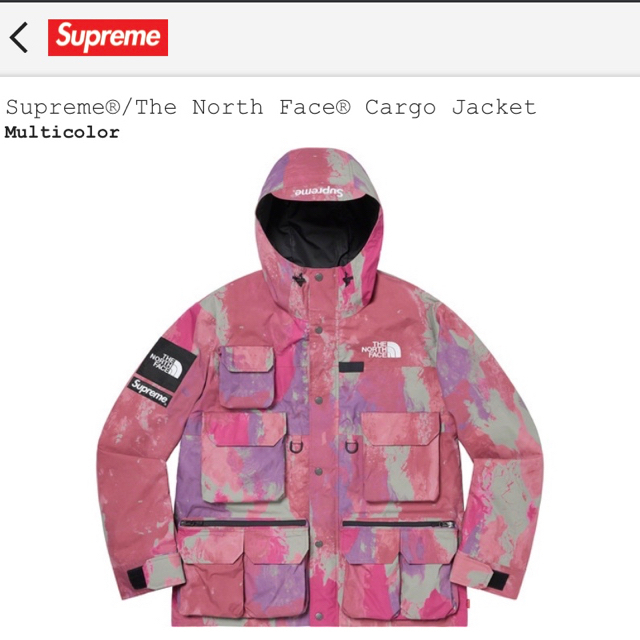 偉大な Supreme - supreme north face jacket マウンテンパーカー
