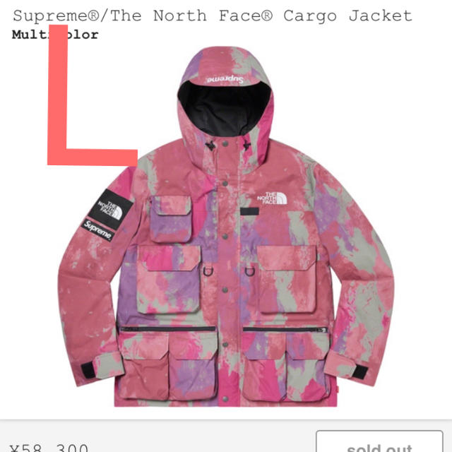 Supreme - supreme the north face cargo jacket