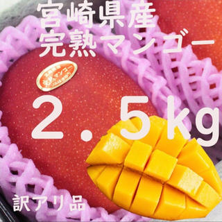 完熟マンゴー　宮崎産　農協品　8玉〜12玉　父の日 市場直送　安い(フルーツ)