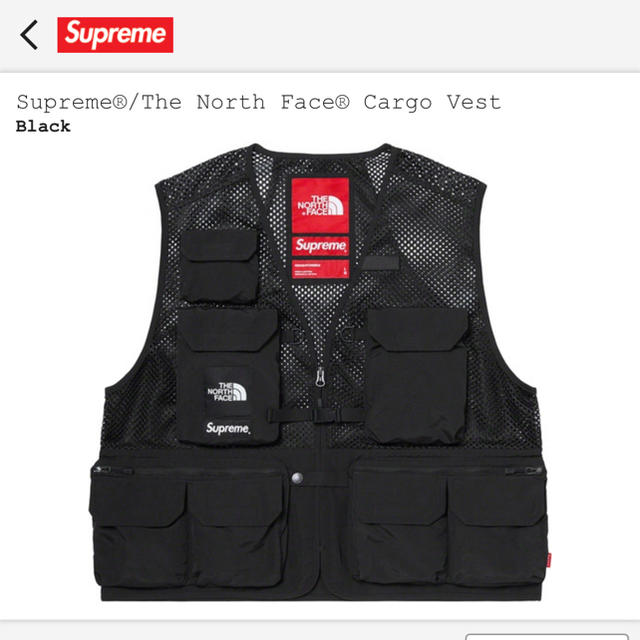 Supreme XL The North Face Cargo Vest