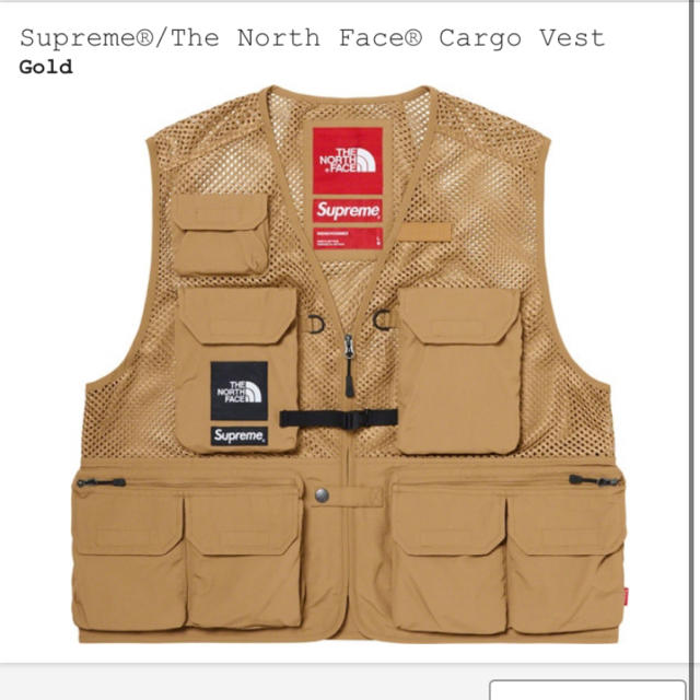 Supreme The North Face Cargo Vest