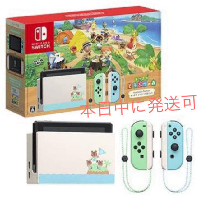 任天堂 Nintendo Switch あつまれどうぶつの森セット - 家庭用ゲーム機本体