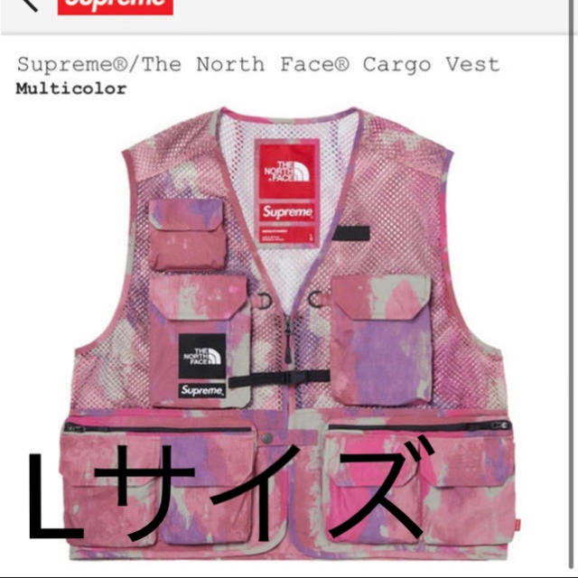 ベストSupreme®/The North Face® Cargo Vest  L