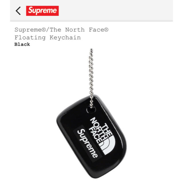 Supreme(シュプリーム)のSupreme The North FaceFloating Keychain メンズのファッション小物(キーホルダー)の商品写真