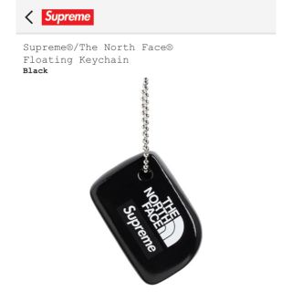 シュプリーム(Supreme)のSupreme The North FaceFloating Keychain(キーホルダー)