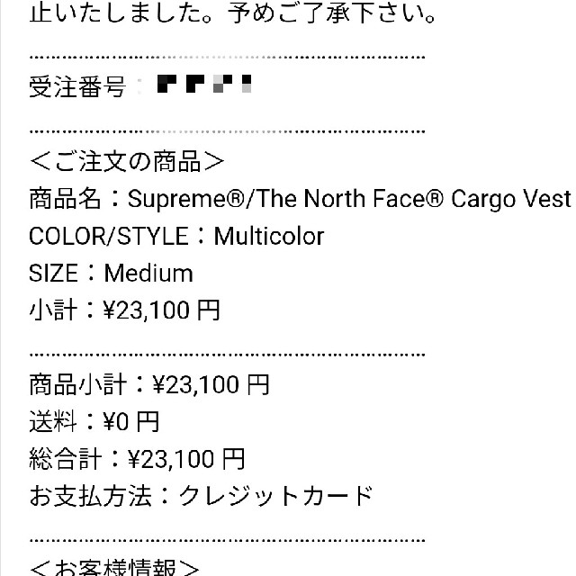 Supreme The North Face Cargo Vest Mサイズ