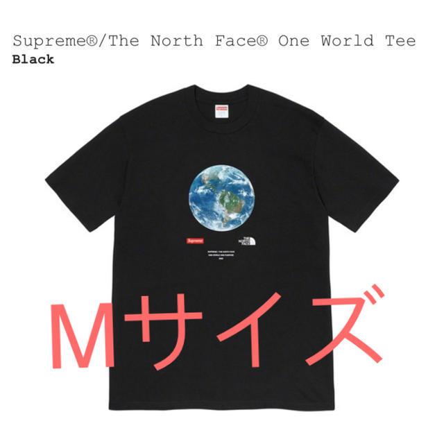 メンズsupreme the north face one world tee