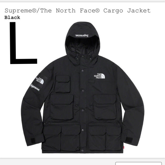 Supreme - Supreme  The North Face Cargo Jacket