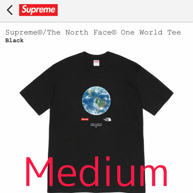 Supreme/The North Face One World Teeトップス