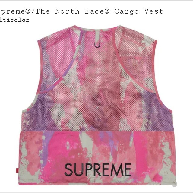 Supreme(シュプリーム)のsupreme the north face cargo vest Mサイズ メンズのトップス(ベスト)の商品写真