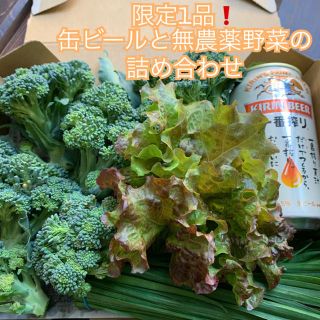 限定1品❗️缶ビールと無農薬野菜の詰め合わせ＊一番搾り＊コンパクトで翌日配達＊(野菜)