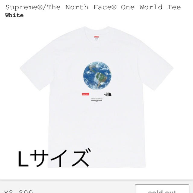 Supreme®/The North Face® One World TeeTシャツ/カットソー(半袖/袖なし)