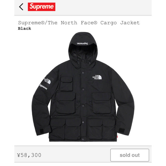 Supreme The north face cargo jkt