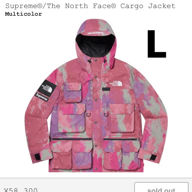 【楽天最安値に挑戦】 Supreme the north face cargo jacket L マウンテンパーカー