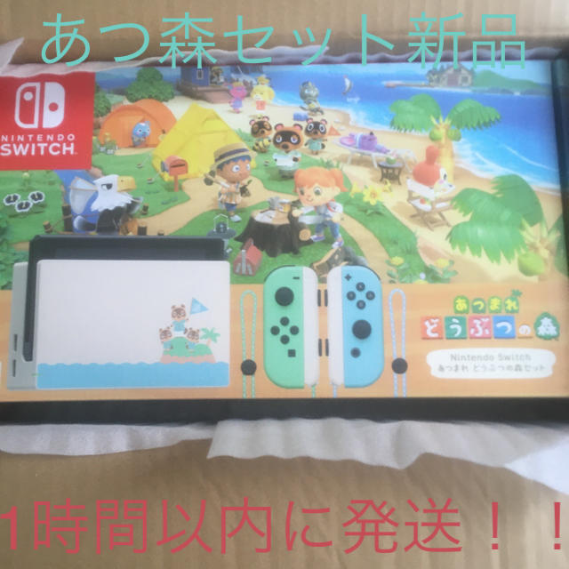 スイッチ Switch あつまれどうぶつの森　あつ森セット　ニンテンドー