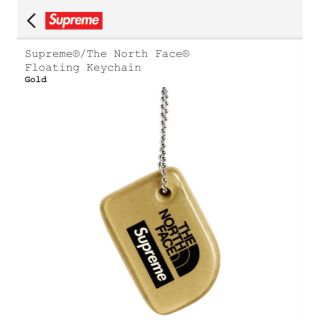 シュプリーム(Supreme)のSupreme®The North Face®Floating Keychain(キーホルダー)