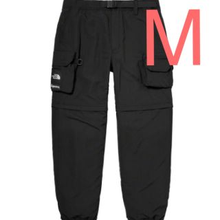 シュプリーム(Supreme)のSupreme The North Face Belted Cargo Pant(ワークパンツ/カーゴパンツ)