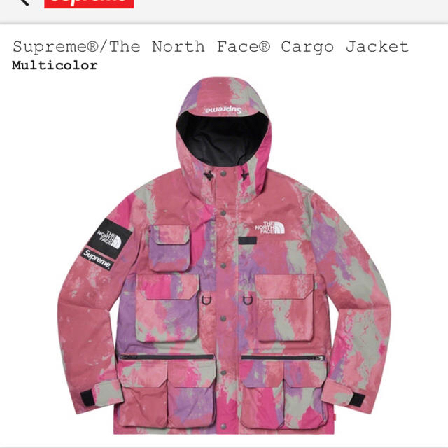 Supreme - supreme the north face cargo jacket Mサイズ